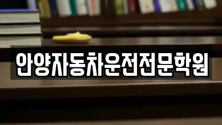 안양자동차운전전문학원