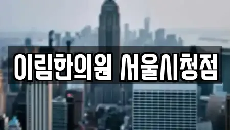 이림한의원 서울시청점