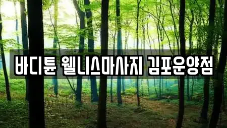 바디튠 웰니스마사지 김포운양점