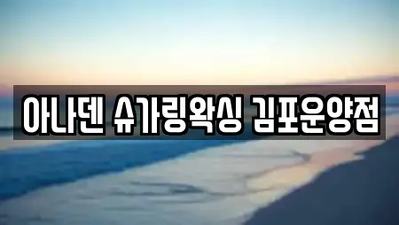 아나덴 슈가링왁싱 김포운양점