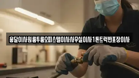 용달이사원룸투룸오피스텔이사사무실이사1톤트럭반포장이사