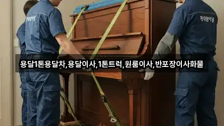 전라남도 보성군 겸백면 원룸이사 업체 정보 2건