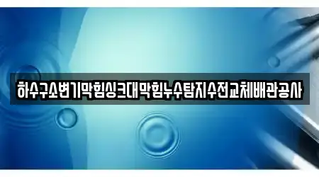하수구소변기막힘싱크대막힘누수탐지수전교체배관공사