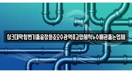 싱크대막힘변기뚫음정화조오수관역류고압세척누수배관뚫는업체