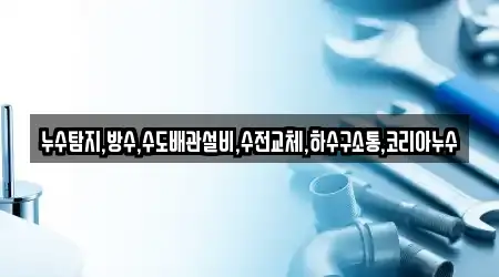 누수탐지,방수,수도배관설비,수전교체,하수구소통,코리아누수