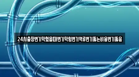 24시출장변기막혔을때변기막힘변기역류변기뚫는비용변기뚫음