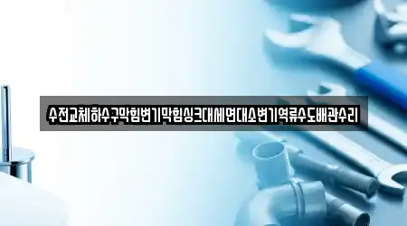 수전교체하수구막힘변기막힘싱크대세면대소변기역류수도배관수리