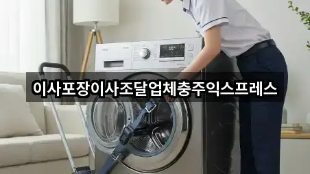 충북 신니면 포장이사 4곳 지도