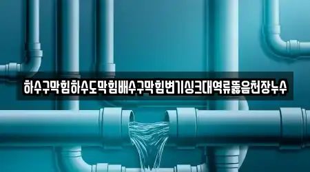 하수구막힘하수도막힘배수구막힘변기싱크대역류뚫음천장누수
