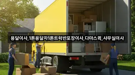 바로 한눈에: 전남 청동 용달이사 3곳