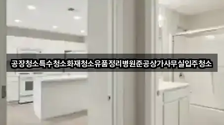 공장청소특수청소화재청소유품정리병원준공상가사무실입주청소