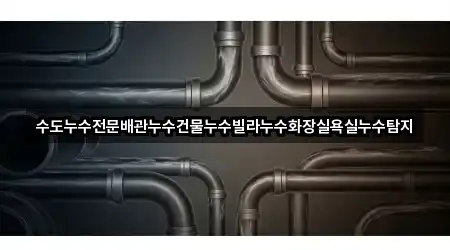 수도누수전문배관누수건물누수빌라누수화장실욕실누수탐지