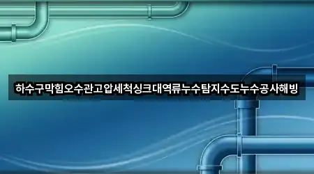 하수구막힘오수관고압세척싱크대역류누수탐지수도누수공사해빙