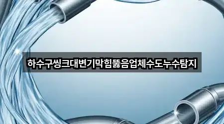 하수구씽크대변기막힘뚫음업체수도누수탐지