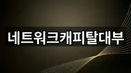 네트워크캐피탈대부