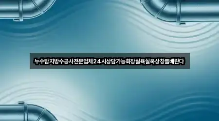 누수탐지방수공사전문업체24시상담가능화장실욕실옥상창틀베란다