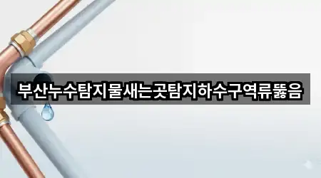 [연락처] 부산 청학동 누수탐지 5곳