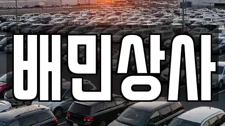 강원 양양군 중고차 전문 배민상사