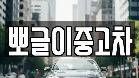 강원 양양군 중고차 전문 뽀글이중고차