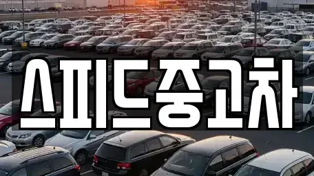 강원 양양군 중고차 전문 스피드중고차