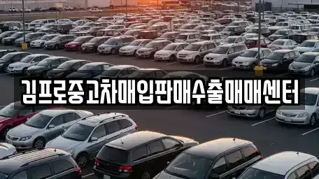 강원 양양군 중고차매입 전문 김프로중고차매입판매수출매매센터