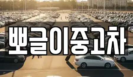 강원특별자치도 삼척시 적노동 중고차 전문 뽀글이중고차