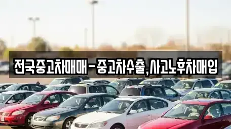강원특별자치도 삼척시 적노동 중고차매입 전문 전국중고차매매-중고차수출,사고노후차매입