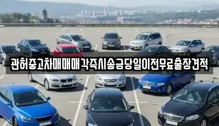 강원특별자치도 정선군 신동읍 중고차 전문 관허중고차매매매각즉시송금당일이전무료출장견적