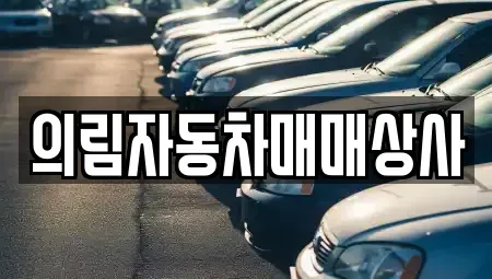 강원특별자치도 정선군 신동읍 중고차,렌트카,중고차매입,중고차매매,장기렌트카,단기렌트카