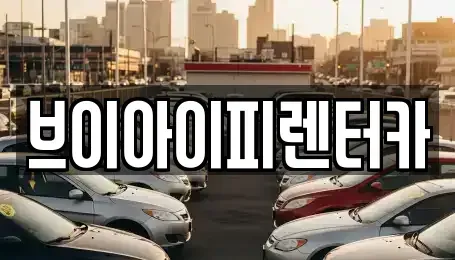 경기 고양시 일산동구 설문동 렌트카 전문 브이아이피렌터카