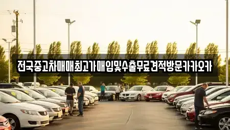 경기 고양시 일산동구 설문동 중고차매입 전문 전국중고차매매최고가매입및수출무료견적방문카카오카