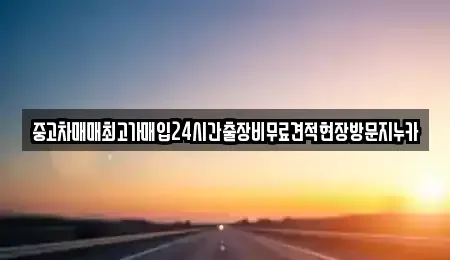 경기 고양시 일산동구 설문동 중고차매입 전문 중고차매매최고가매입24시간출장비무료견적현장방문지누카