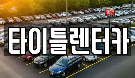 경기 성남시 분당구 동원동 단기렌트카 전문 타이틀렌터카