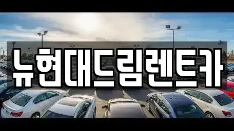경기 성남시 분당구 동원동 렌트카 전문 뉴현대드림렌트카