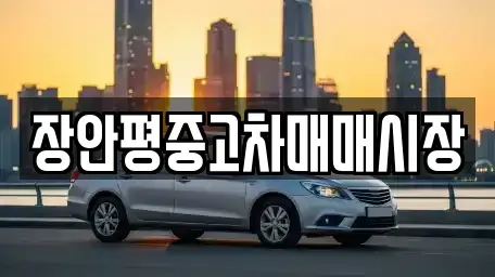 경기 성남시 분당구 동원동 중고차 전문 장안평중고차매매시장