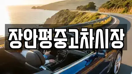 경기 성남시 분당구 동원동 중고차 전문 장안평중고차시장