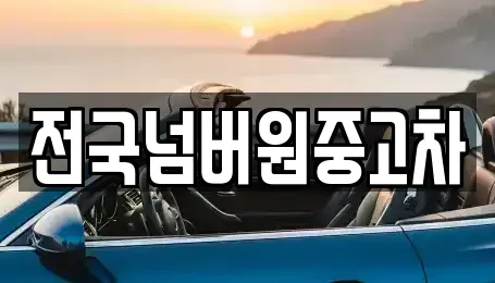 경기 파주시 금릉동 중고차 전문 전국넘버원중고차