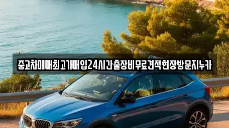 경기 파주시 금릉동 중고차매입 전문 중고차매매최고가매입24시간출장비무료견적현장방문지누카