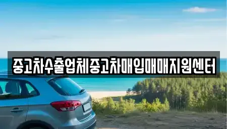 경기 파주시 와동동 중고차매입 전문 중고차수출업체중고차매입매매지원센터