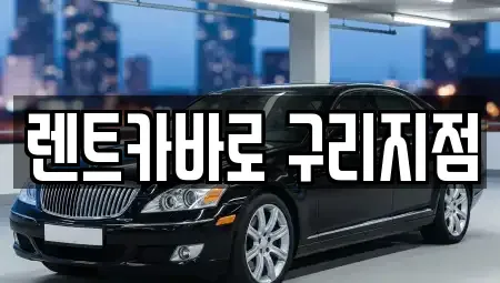 경기도 구리시 교문동 렌트카,단기렌트카,장기렌트카,중고차,중고차매매,중고차매입