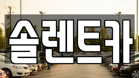 경기도 구리시 교문동 렌트카 전문 솔렌트카