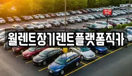 경기도 구리시 교문동 장기렌트카 전문 월렌트장기렌트플랫폼직카