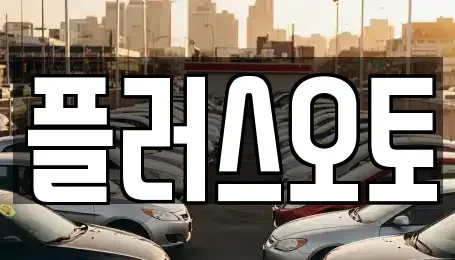 경기도 구리시 교문동 중고차 전문 플러스오토