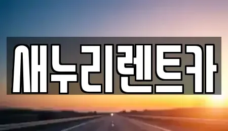 경기도 남양주시 퇴계원읍 렌트카 전문 새누리렌트카
