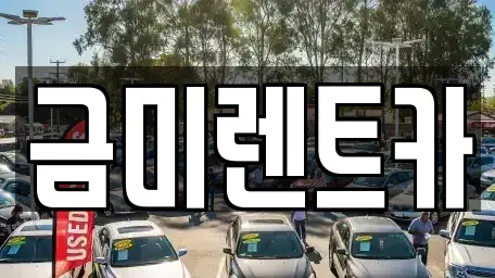 경기도 부천시 원미구 소사동 렌트카 전문 금미렌트카