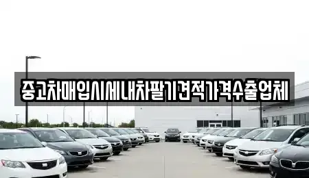 경기도 부천시 원미구 소사동 중고차매입 전문 중고차매입시세내차팔기견적가격수출업체