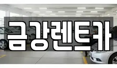 경기도 수원시 영통구 망포동 렌트카 전문 금강렌트카