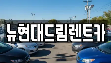 경기도 의왕시 학의동 렌트카 전문 뉴현대드림렌트카