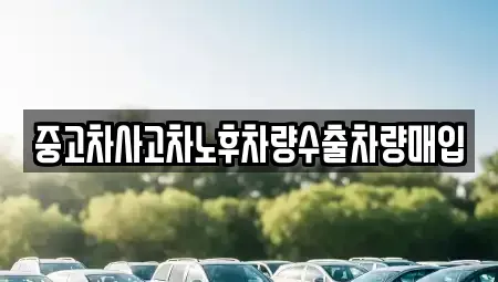 경기도 의왕시 학의동 중고차 전문 중고차사고차노후차량수출차량매입