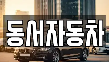 경남 진주시 장대동 중고차매매 전문 동서자동차